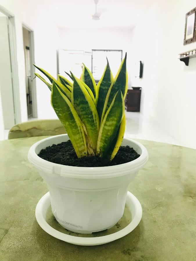 Alyn Home Batu Pahat II Wifi Coway Mohd Noor Ngoại thất bức ảnh